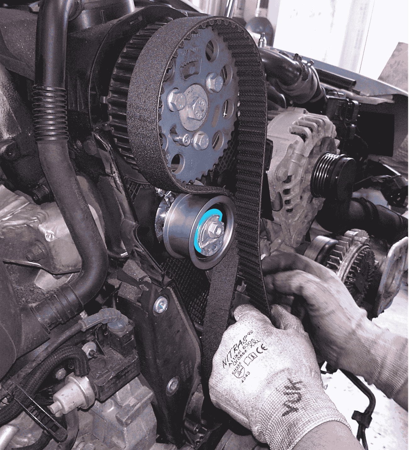 timing-belt